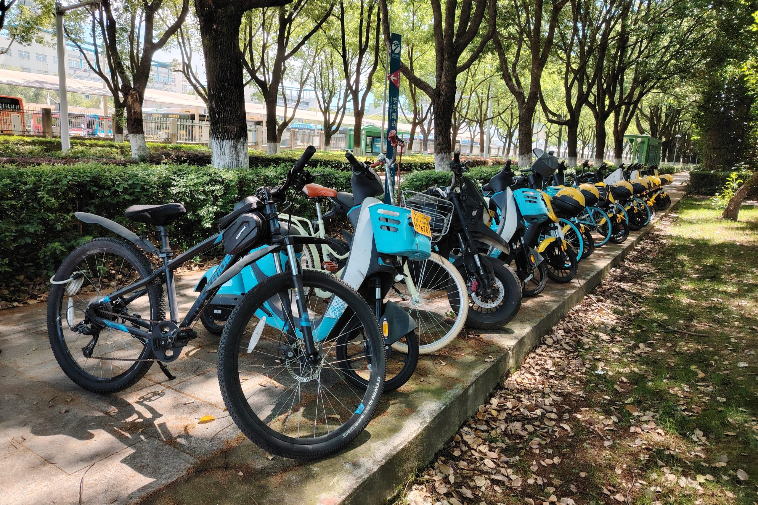How Ningbo’s cashless and accessible bike-sharing system stands out to Filipino tourists